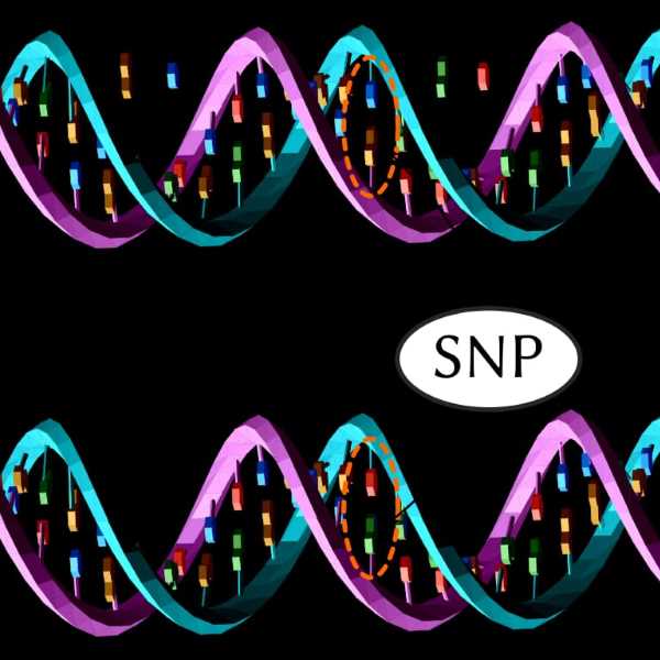 الأمراض البشرية و مفهوم Single nucleotide polymorphism (SNPs)